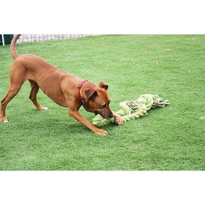 Happy Pet King Size Tug Flostouw-HOND-HAPPY PET-L 101X18 CM (67410)-Dogzoo