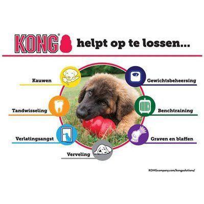 Kong Puppy Roze Of Blauw Assorti LARGE 10X7X7 CM-HOND-KONG-Dogzoo