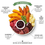 Lily's Kitchen Dog Lamb Hotpot