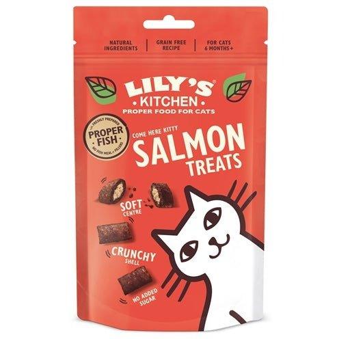 Lily's Kitchen Salmon Treats 60 GR - Dogzoo