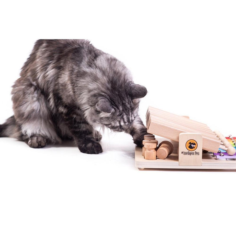 My Intelligent Pets - Pet's Piano - Hondenpuzzel