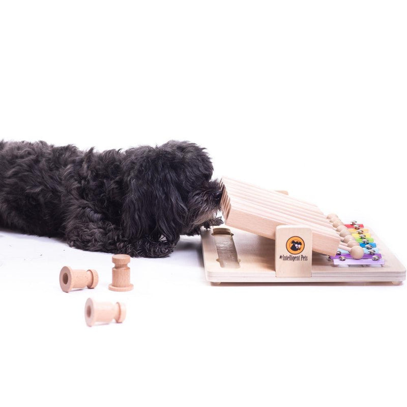 My Intelligent Pets - Pet's Piano - Hondenpuzzel