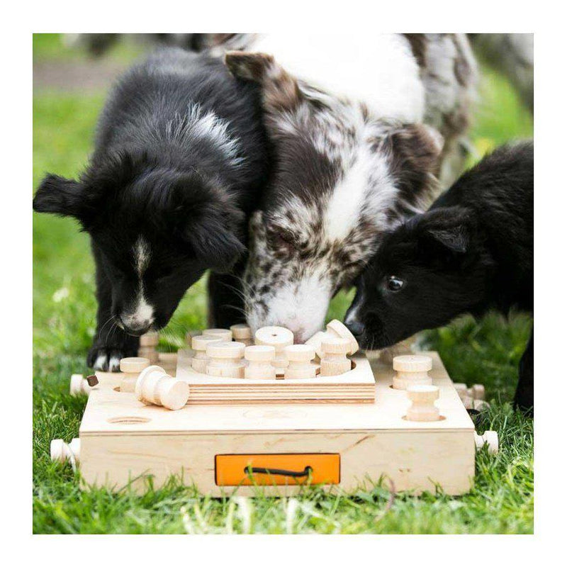 My Intelligent Pets - Turtle - Hondenpuzzel