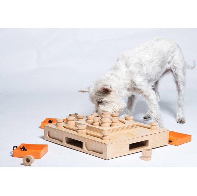 My Intelligent Pets - Turtle - Hondenpuzzel