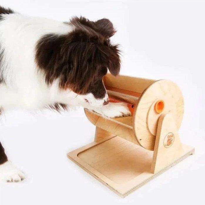 My Intelligent Pets - Wheel of Fortune - Hondenpuzzel