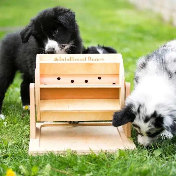 My Intelligent Pets - Wheel of Fortune - Hondenpuzzel