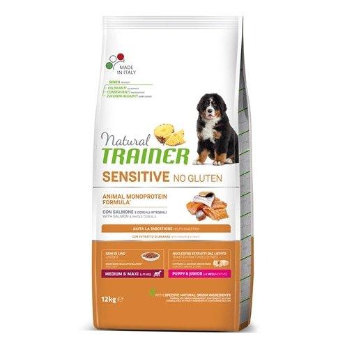 Natural Trainer Dog Puppy / Junior Medium / Maxi Sensitive Salmon 12 KG-HOND-NATURAL TRAINER-Dogzoo