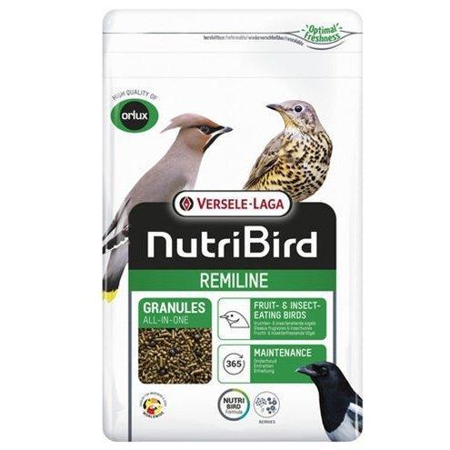 Orlux Remiline Pateekorrel