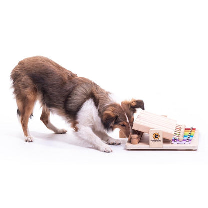 Piano - Hondenpuzzels Intelligentiespeelgoed - Pet's Piano - My Intelligent Pets/Dogs - Dogzoo