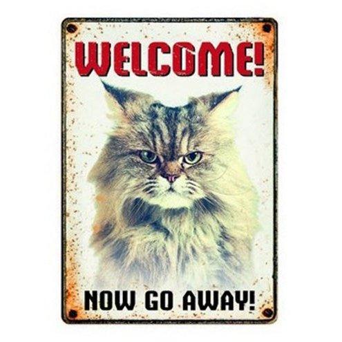 Plenty Gifts Waakbord Blik Grumpy Cat