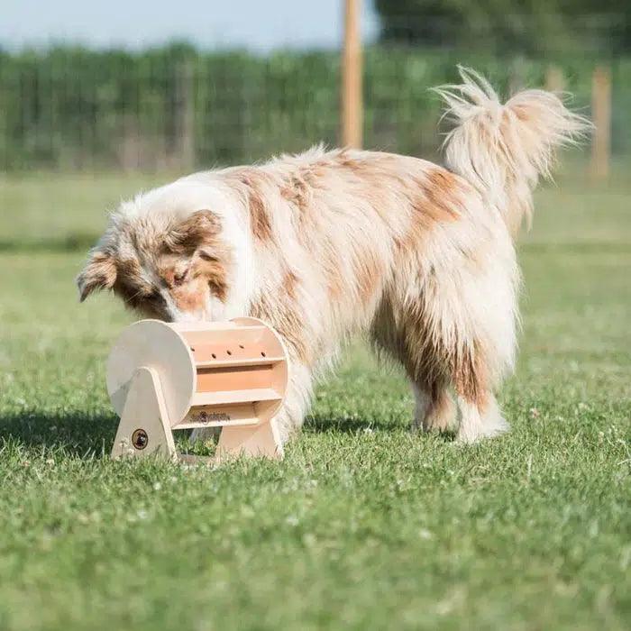 Rad van Fortuin - Hondenpuzzels Intelligentiespeelgoed - My Intelligent Pets-Dogzoo-Dogzoo