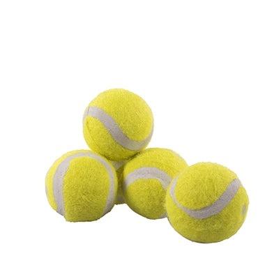 Rosewood Jolly Doggy Tennisbal Mini 5 ST-HOND-ROSEWOOD-Dogzoo