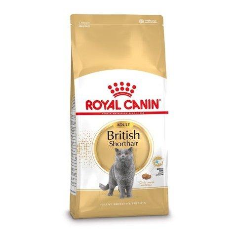 Royal Canin British Shorthair 2 KG - Dogzoo