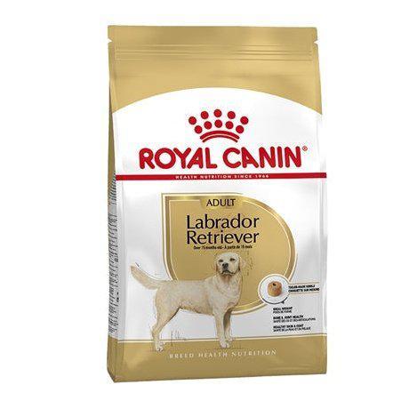 Royal Canin Labrador Retriever Adult 12 KG-HOND-ROYAL CANIN-Dogzoo