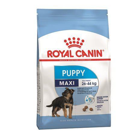 Royal Canin Maxi Puppy 4 KG-HOND-ROYAL CANIN-Dogzoo