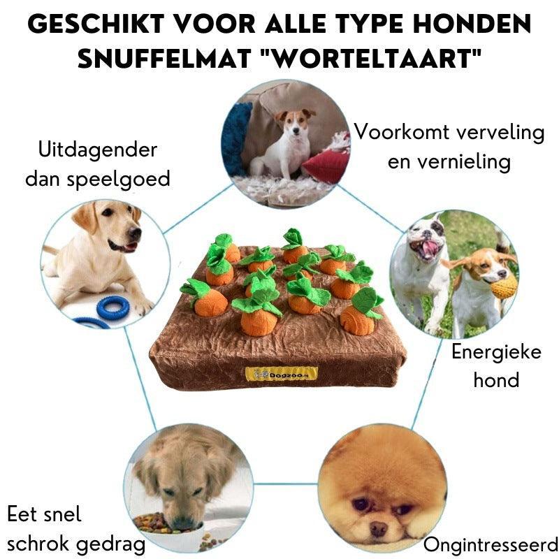 Snuffelmat Worteltaart 35 x 35cm