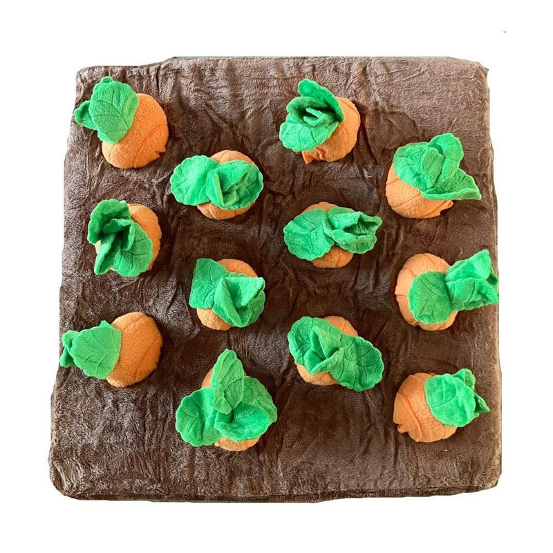 Snuffelmat Worteltaart 35 x 35cm