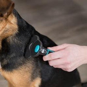 Trixie Carding Vachtkam