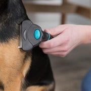 Trixie Carding Vachtkam