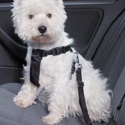 Trixie Hondentuig Auto Inclusief Gordel Zwart