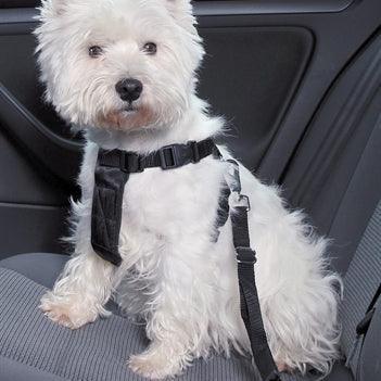 Trixie Hondentuig Auto Inclusief Gordel Zwart