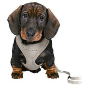 Trixie Junior Puppytuig Soft Met Riem Lichtgrijs