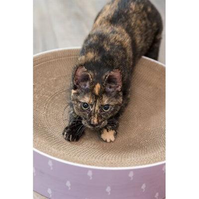 Trixie Krabmand Lilly Karton Catnip Lichtgrijs