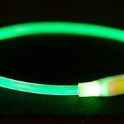 Trixie Lichtgevende Halsband Usb Flash Light Oplaadbaar Tpu Groen