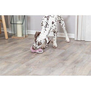 Trixie Pluche Haas Met Tpr Ring Voor Puppy