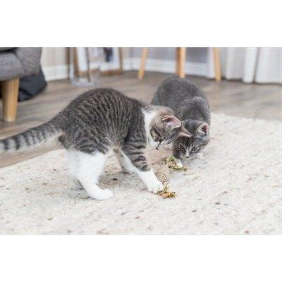 Trixie Rugbybal Karton / Hennep Beige