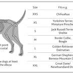 Trixie Halsband Hond Premium Appelgroen-HOND-TRIXIE-22-35X1 CM (395988)-Dogzoo