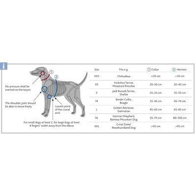 Trixie Halsband Hond Premium Grafiet Grijs - Dogzoo