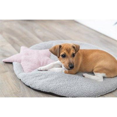 Trixie Puppy Ligmat Ster Grijs / Lila 55X61 CM - Dogzoo