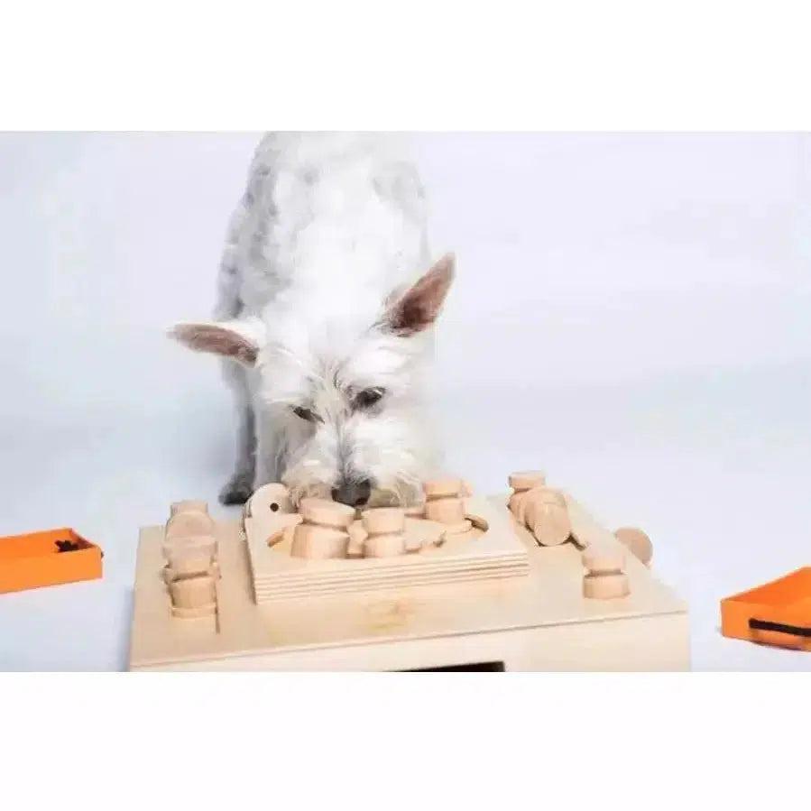 Turtel - Hondenpuzzels Intelligentiespeelgoed - My Intelligent Pets-Dogzoo-Dogzoo
