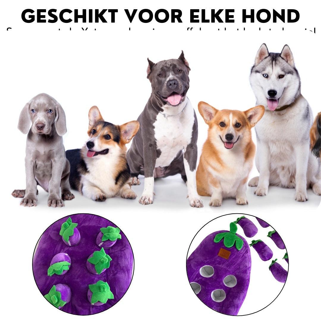 Xatory - Snuffelmat hond - Aubergine- Snuffelmat - Anti Schrok gedrag - Honden speelgoed - Dogzoo