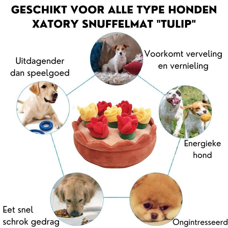 Xatory - Snuffelmat hond - Tulip - Snuffelmat - Anti schrokbak - Hondenpuzzel - Honden speelgoed - Honden snuffelmat - Dogzoo