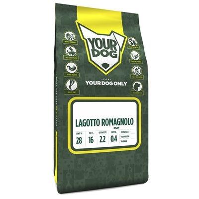 Yourdog Lagotto Romagnolo Pup-HOND-YOURDOG-3 KG (400970)-Dogzoo